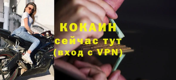 стафф Ладушкин