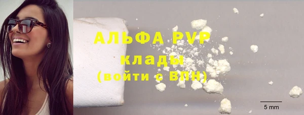 стафф Ладушкин