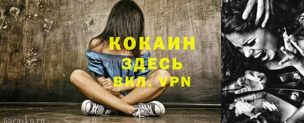 стафф Ладушкин