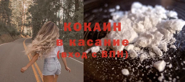 стафф Ладушкин