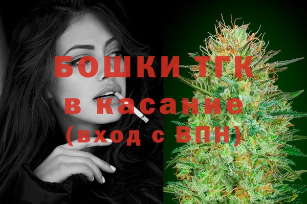 стафф Ладушкин